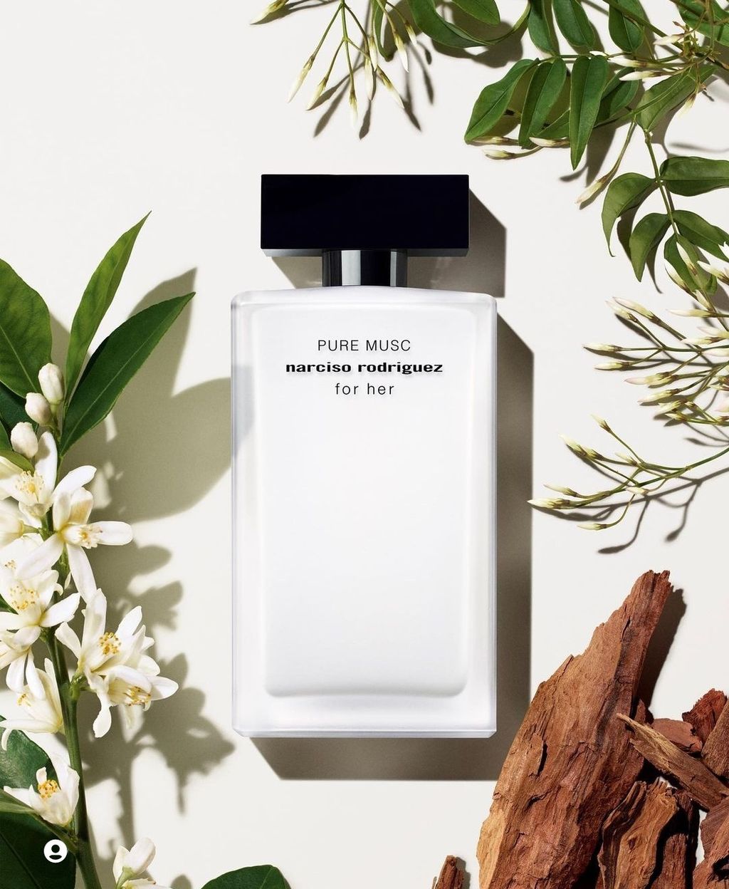 Picsart_22-09-21_16-37-45-460